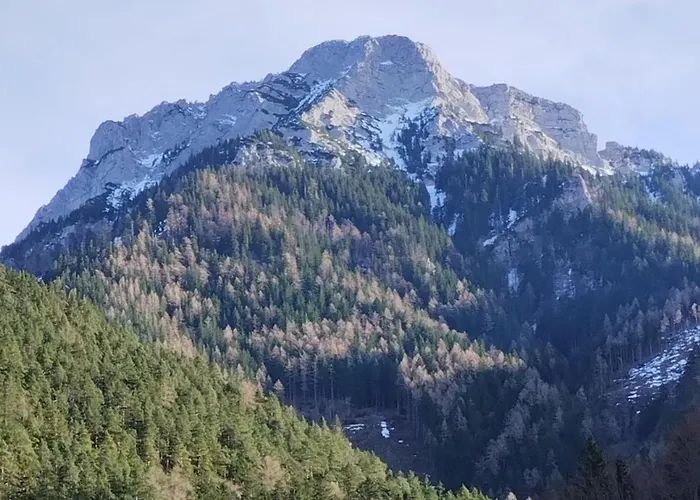 Cityleaves One Sankt Aegyd am Neuwalde